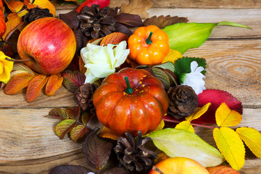 Similar image 21009081