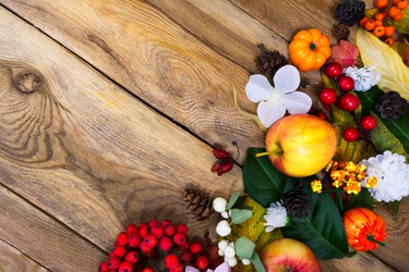 Similar image 21009085