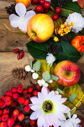 Similar image 21009087