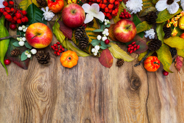 Similar image 21009089