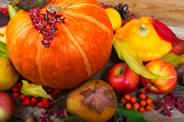 Similar image 21009104