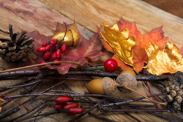 Similar image 21009106