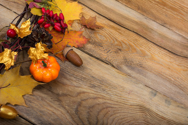 Similar image 21009108