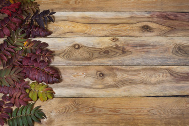 Similar image 21009110