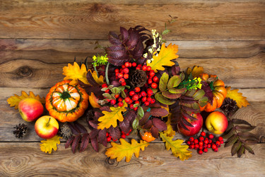 Similar image 21009255