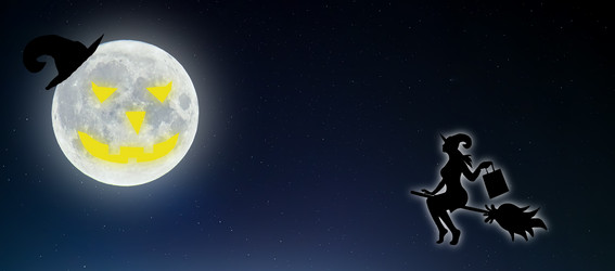 Similar image 21004901