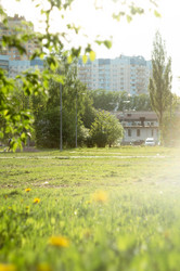 Similar image 21005189