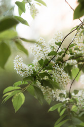 Similar image 21005190