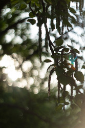 Similar image 21005192