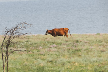 Similar image 21005193