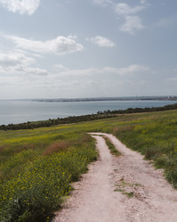 Similar image 21005199