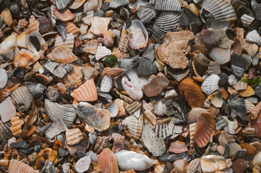 Similar image 21005200