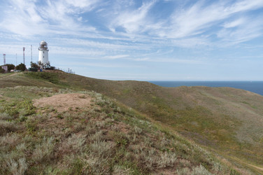 Similar image 21005201