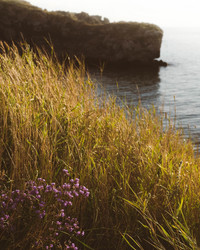 Similar image 21005266