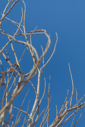 Similar image 21005269