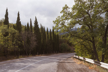 Similar image 21005275