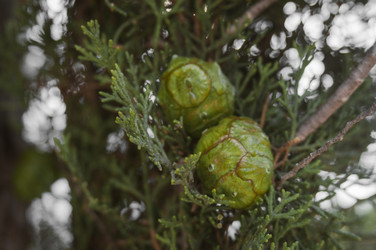 Similar image 21005276