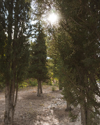 Similar image 21005279