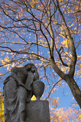 Similar image 21005285