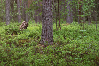 Similar image 21005288