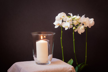 Similar image 21005058