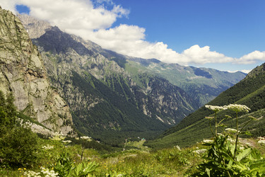 Similar image 21004882