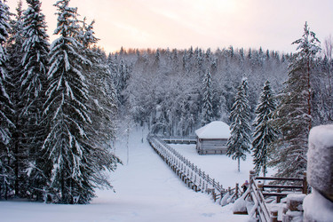 Similar image 21006352