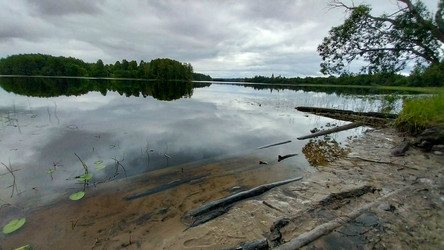 Similar image 21006353