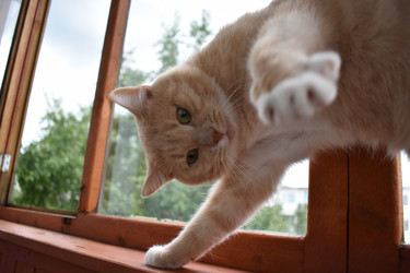 Similar image 21006354