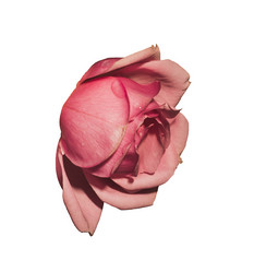 Similar image 21004953