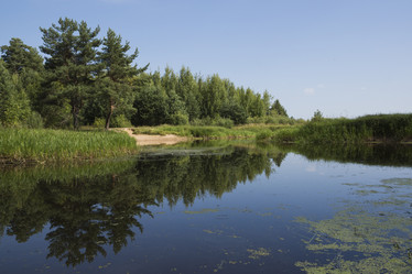 Similar image 21004957