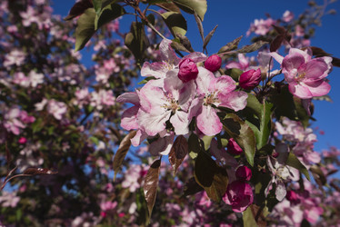 Similar image 21004958