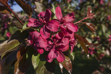 Similar image 21004959