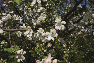 Similar image 21004960