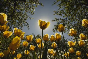 Similar image 21004961