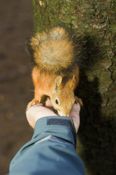 Similar image 21004963