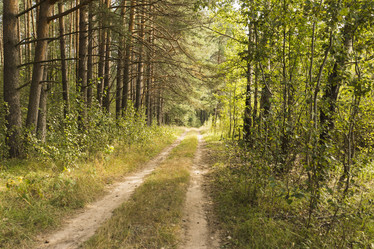 Similar image 21004965