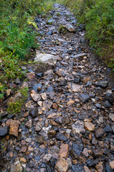 Similar image 21005320