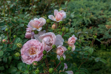 Similar image 21006308