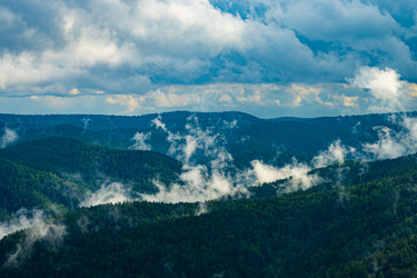 Similar image 21007645