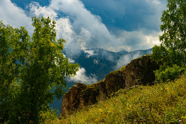 Similar image 21007646