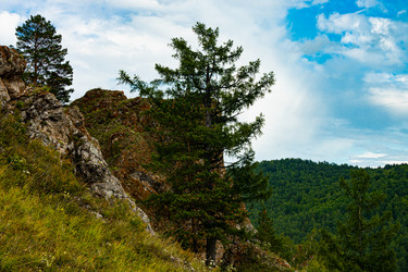 Similar image 21011687