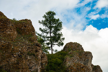 Similar image 21007647