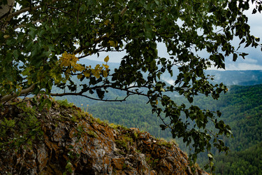 Similar image 21007648