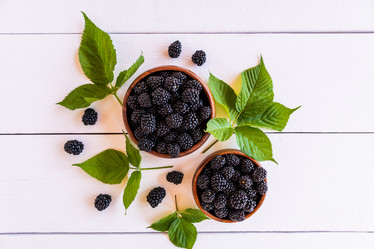 Similar image 21004933