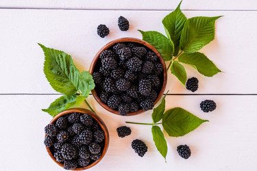 Similar image 21004934