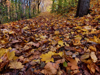 Similar image 21005107