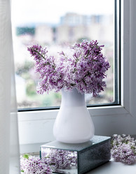 Similar image 21006313