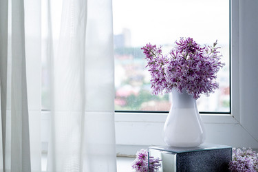 Similar image 21006314