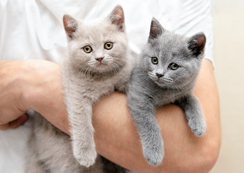 Similar image 21004905